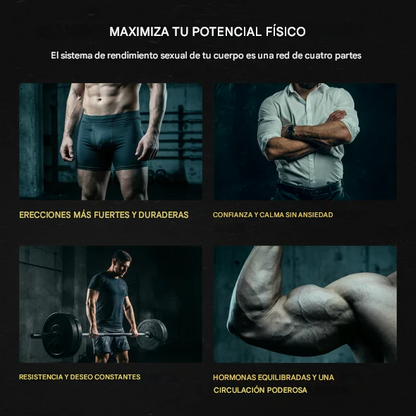 Shilajit Gold,¡Más energía, más fuerza, más rendimiento en 6–8 semanas!